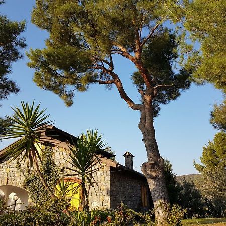 Villa Fior Di Lavanda Cisano sul Neva Eksteriør billede