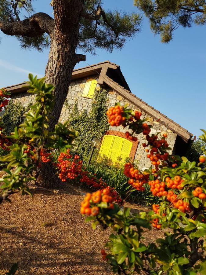 Villa Fior Di Lavanda Cisano sul Neva Eksteriør billede
