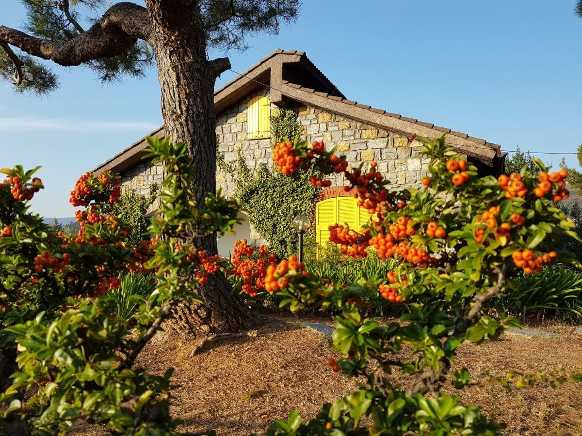 Villa Fior Di Lavanda Cisano sul Neva Eksteriør billede