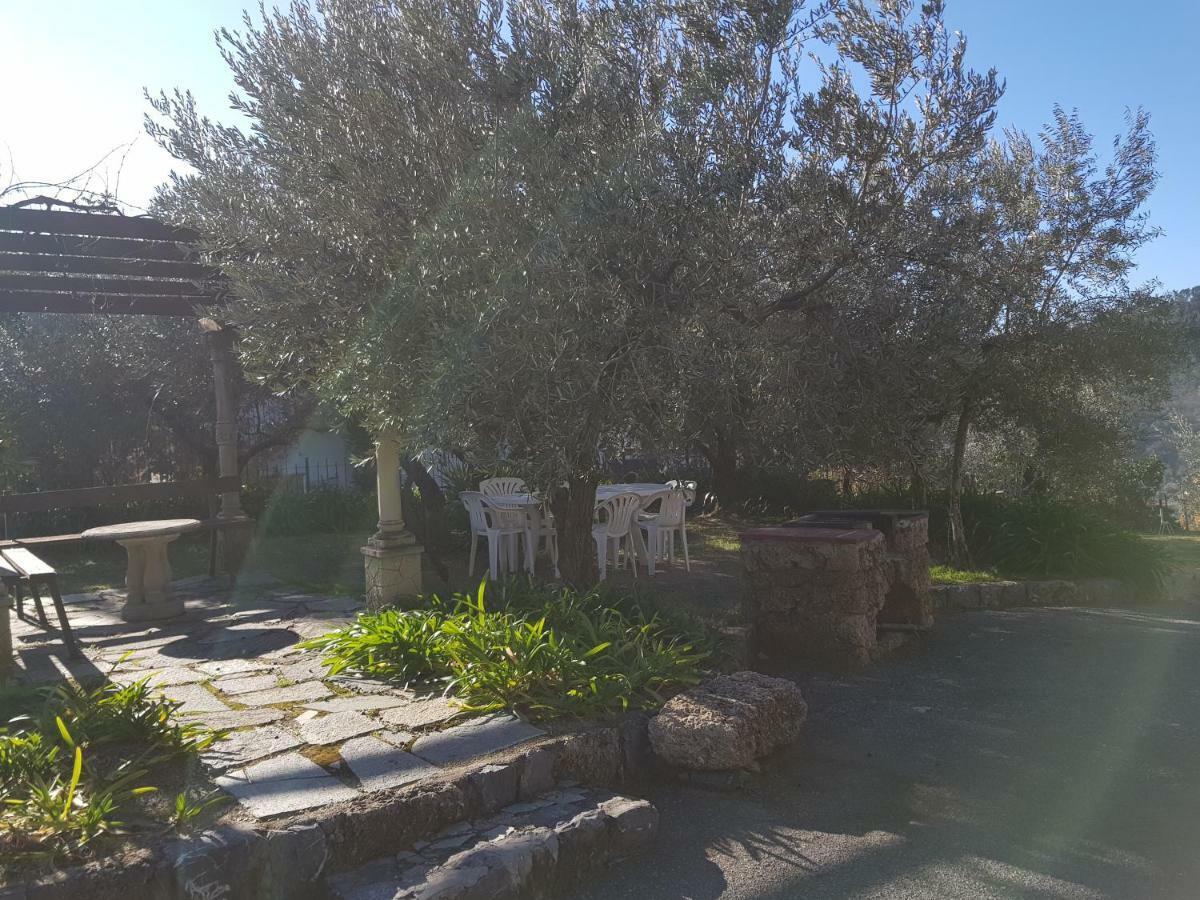 Villa Fior Di Lavanda Cisano sul Neva Eksteriør billede